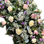 American Spray (Coffin Tops)