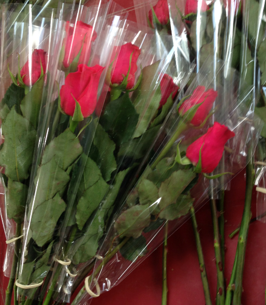 Wrapped Single Roses
